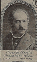 Portrait of Josef Goldstein
